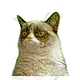 Illustration for article titled The amazing Pineapple Cats of Hawaii